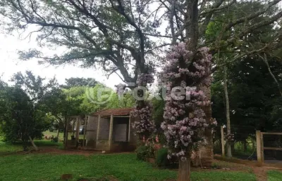 Fazenda com 5 salas à venda na jardim do cedro, 195, santa tecla (ipiranga), gravataí, 93000 m2 por r$ 1.950.000