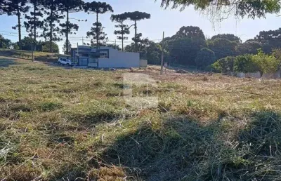 Terreno à venda na rua anastácia gawleta drobzenski, 270, costeira, araucária por r$ 360.000