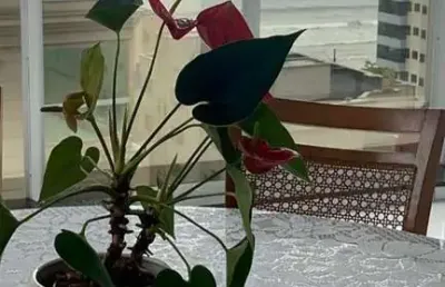 Apartamento 4 dormitórios à venda meia praia itapema/sc