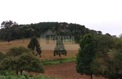 Chácara à venda, 193000.00 m2 por r$700000.00  - socavao - castro/pr