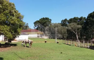 Fazenda à venda, 3600.00 m2 por r$9000000.00  -  - castro/pr