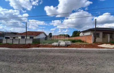 Terreno à venda, 420.00 m2 por r$180000.00  - cara cara - ponta grossa/pr
