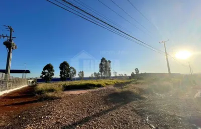 Terreno para alugar, 12000.00 m2 por r$25000.00  - colonia dona luiza - ponta grossa/pr