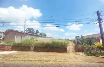 Terreno à venda, 565.00 m2 por r$350000.00  - colonia dona luiza - ponta grossa/pr