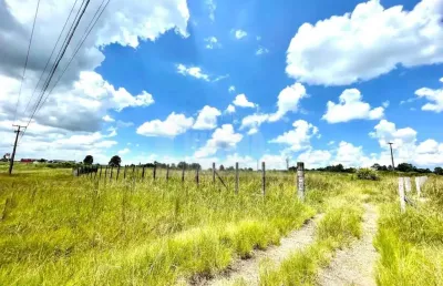 Terreno para alugar, 3650.00 m2 por r$13000.00  - colonia - carambei/pr