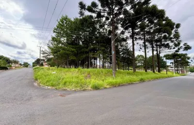 Terreno à venda, 10962.00 m2 por r$8770000.00  - jardim carvalho - ponta grossa/pr
