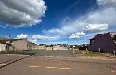Terreno à venda, 727.50 m2 por r$600000.00  - colonia dona luiza - ponta grossa/pr