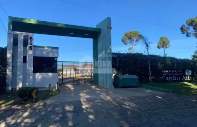 Terreno à venda, 1014.00 m2 por r$350000.00  - colonia dona luiza - ponta grossa/pr