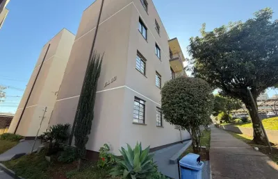 Apartamento com 3 quartos  para alugar, 65.00 m2 por r$900.00  - colonia dona luiza - ponta grossa/pr