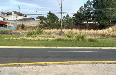 Terreno para alugar, 1485.00 m2 por r$15000.00  - jardim carvalho - ponta grossa/pr