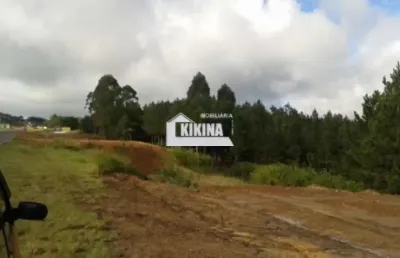 Terreno à venda, 313688.00 m2 por r$6500000.00  - colonia dona luiza - ponta grossa/pr