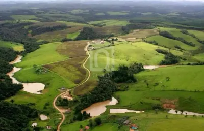 Fazenda a venda no interior em itapetininga interior de são paulo com estrutura agropecuária e de lazer.