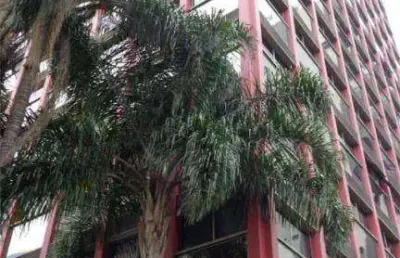 Conjunto à venda, 100 m² por r$ 900.000,00 - moema - são paulo/sp