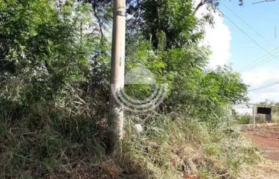 Terreno à venda, 5570 m² por r$ 2.785.000,00 - jardim ypê - paulínia/sp