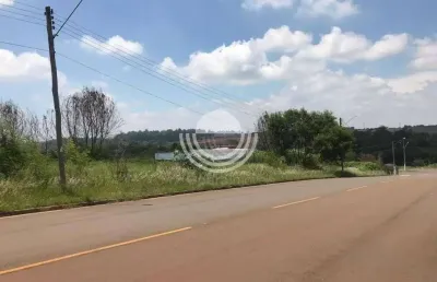 Terreno comercial à venda na Rua Maria Olga de Carvalho Alves, Betel, Paulínia