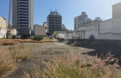 Terreno à venda, 786 m² por r$ 5.500.000,00 - cambuí - campinas/sp
