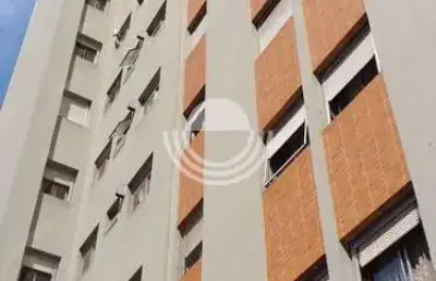 Apartamento para alugar em localização excelente no cambuí campinas. localização excelente, reformado e pintura nova.