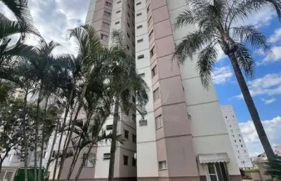 Apartamento à venda, 78 m² por r$ 620.000,00 - chácara primavera - campinas/sp