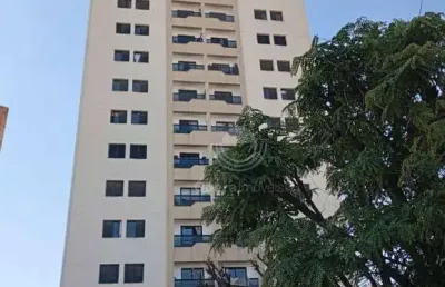 Apartamento com 3 dormitórios à venda - mansões santo antônio - campinas/sp