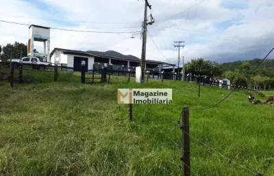 Fazenda com 4 dormitórios à venda, 385000 m² por r$ 1.150.000,00 - zona rural - pau brasil/ba