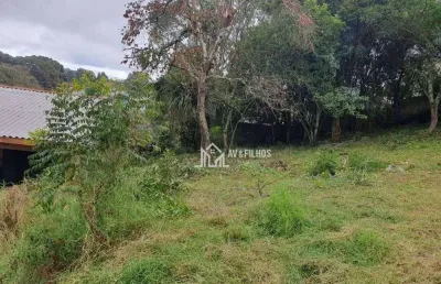 Terreno residencial à venda, vila rosa, piraquara - te0026.