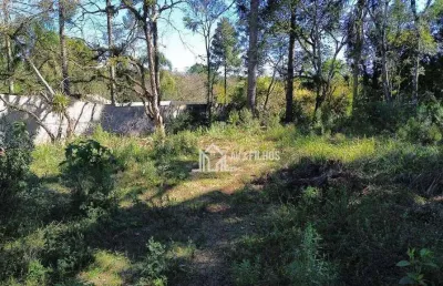 Terreno residencial à venda, vila rosa, piraquara - te0072.