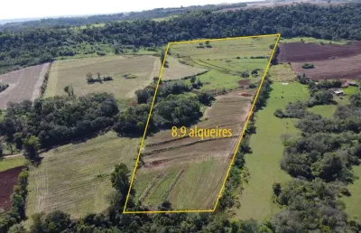 Área rural de 8,9 alqueires, terra mista (plantio e pastagem) - com sanga de água