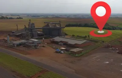 2,5 alqueires de grama para fenação, sendo 5 mil sacas de soja por alqueire