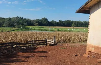 Chácara / sítio à venda na Margarida, Marechal Cândido Rondon 