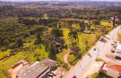 Terreno comercial à venda na rodovia do caqui - campina grande do sul - pr, centro, campina grande do sul por r$ 3.990.000