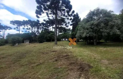 Chácara à venda, 142846 m² por r$ 6.000.000,00 - guarituba - piraquara/pr