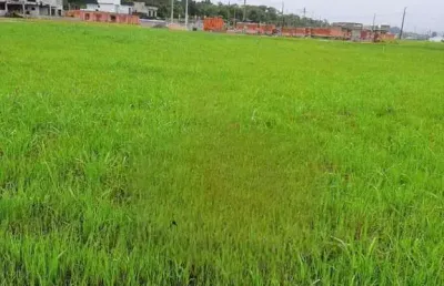 Terreno à venda no Jardim Marcia, Peruíbe 