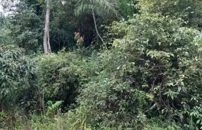 Terreno à venda na Zona Rural, Iguape 