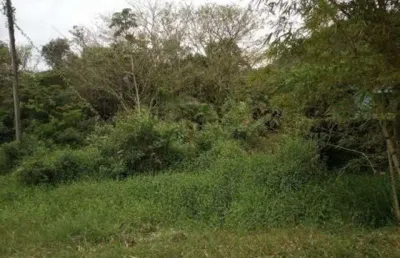 Terreno à venda no Jardim Aguapeú, Itanhaém 