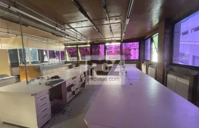 Conjunto para alugar, 190 m² por r$ 6.000,00/mês - gonzaga - santos/sp