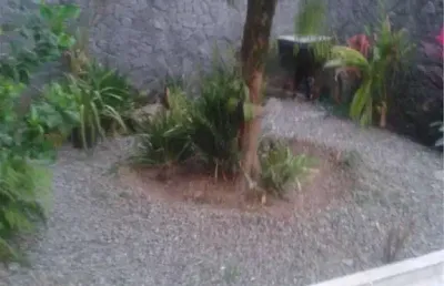 Casa com 4 dormitórios à venda, 270 m² por r$ 2.500.000,00 - aparecida - santos/sp