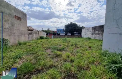 Terreno comercial para alugar na Rua Pindamonhangaba, 676, Vila Mariana, Ribeirão Preto
