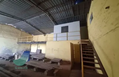 Galpão comercial para alugar, 352m² - adelino simioni