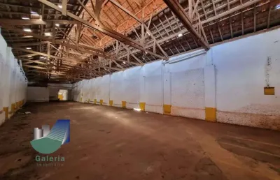 Barracão / Galpão / Depósito para alugar na Rua Mariana Junqueira, 492, Centro, Ribeirão Preto
