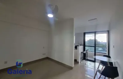 Apartamento com 1 quarto para alugar, 31m² - ribeirânia