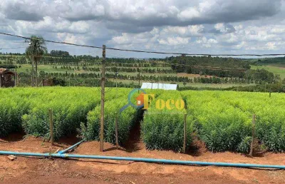 Sítio à venda, 121000 m² por r$ 1.800.000,00 - campo novo - bragança paulista/sp