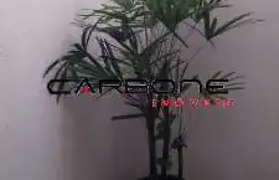 Apartamento com 1 quarto à venda na rua general argolo, vila invernada, são paulo por r$ 275.000