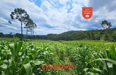 Chácara / sítio à venda na Rua Das Antas Lagoa Dos Ferreira, 000, Centro, Mandirituba