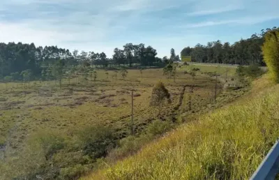Terreno à venda na br386, --, pesqueiro, montenegro por r$ 10.300.000