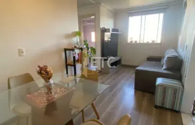 Apartamento com 20 quartos à venda na avenida açucena, --, estância velha, canoas por r$ 260.000