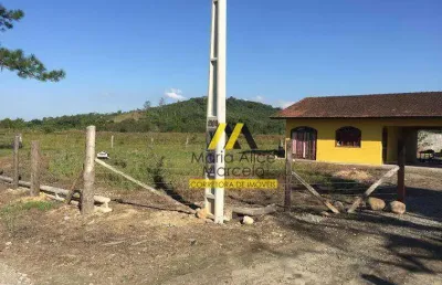 Terreno para alugar, 5000 m² - rio bonito (pirabeiraba) - joinville/sc