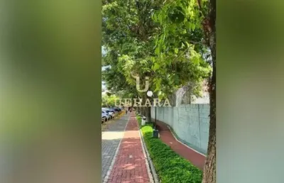 Apartamento com 3 dormitórios, 64 m² - venda vila nova cachoeirinha - são paulo/sp
