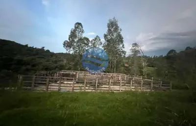 Sítio a venda localizado no bairro brumado, amparo - sp