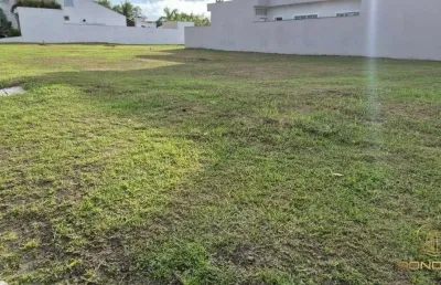 Terreno com 392m², vista para o mar, suarão, itanhaém / sp