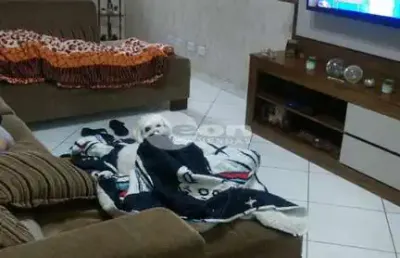 Casa em condomínio fechado com 3 quartos à venda na rua olegário mariano, 239, jardim utinga, santo andré, 140 m2 por r$ 770.000